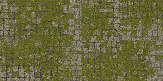 Interface Human Connections in Colour Granite Moss